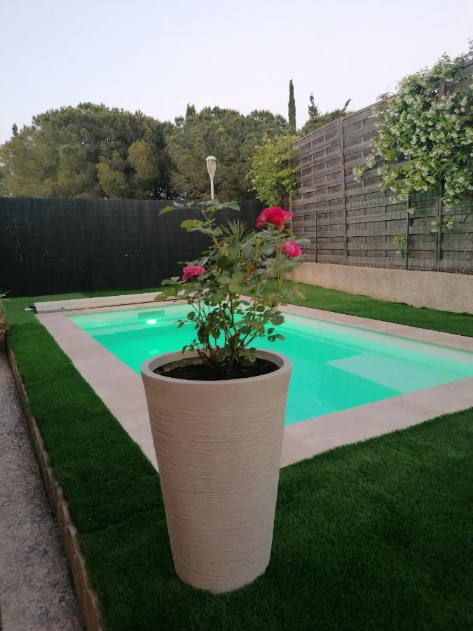 Mimilou Mont St Loup Piscine Privee Lejlighed Agde Eksteriør billede